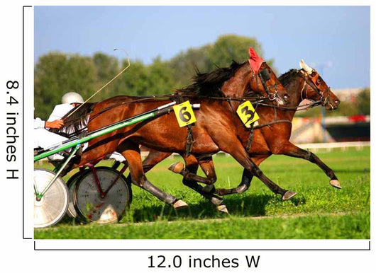 Harness Racing Wall Decal