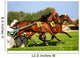 Harness Racing Wall Decal