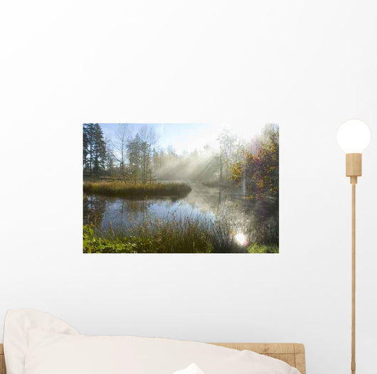 L'un Des 1000 Etangs Wall Decal