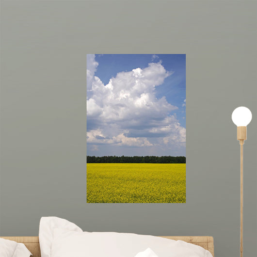 Meadow Wall Mural