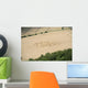 Crop Circle in cornfield Wall Mural