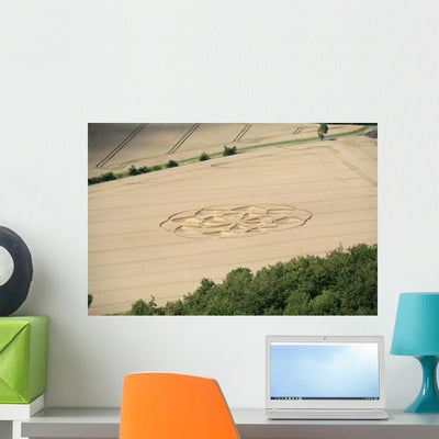 Crop Circle Cornfield Wall Mural shown on a wall