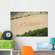 Crop Circle in cornfield Wall Mural