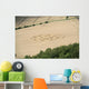 Crop Circle in cornfield Wall Mural