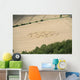 Crop Circle in cornfield Wall Mural