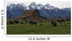 Bisons with Old Barn in Grand Teton Wall Mural