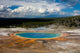 Yellowstone Grand Prismatic Wall Mural
