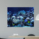 Underwater Wall Mural