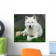 Artic Wolf Wall Mural