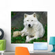 Artic Wolf Wall Mural