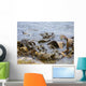 Seaweed Wall Decal
