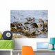 Seaweed Wall Decal