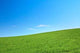 Peaceful Grassland Wall Decal