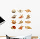 Seashells Wall Stickers