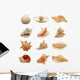 Seashells Wall Stickers