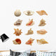 Seashells Wall Stickers