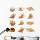 Seashells Wall Stickers
