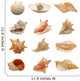 Seashells Wall Stickers