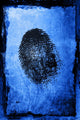 fingerprint Wall Mural