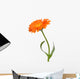Calendula Wall Decal