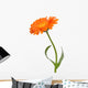 Calendula Wall Decal