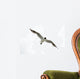 Black Headed Seagull Flying in Sky Wall Decal