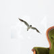 Black Headed Seagull Flying in Sky Wall Decal