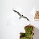 Black Headed Seagull Flying in Sky Wall Decal