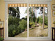 Foret De Pins Wall Mural