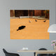 Chat Noir Et Pigeons Wall Mural