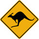 Kangaroo Symbol Sign Wall Decal