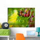 Flame Grapes Wall Mural