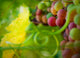 Flame Grapes Wall Mural