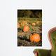 Pumpkins patch Wall Mural