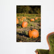 Pumpkins patch Wall Mural