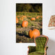 Pumpkins patch Wall Mural