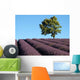 Baum im Lavendelfeld Wall Decal