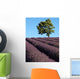 Lavendelfeld Der Provence Wall Decal