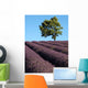 Lavendelfeld Der Provence Wall Decal