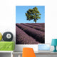 Lavendelfeld Der Provence Wall Decal