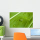Perfect Drop Wall Decal