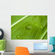 Perfect Drop Wall Decal
