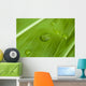 Perfect Drop Wall Decal