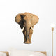 Wild Elephant Wall Decal