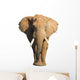Wild Elephant Wall Decal