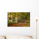 Sun Peeking through Wall Decal