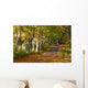 Sun Peeking through Wall Decal