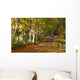 Sun Peeking through Wall Decal