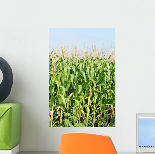 Maisfeld Wall Mural