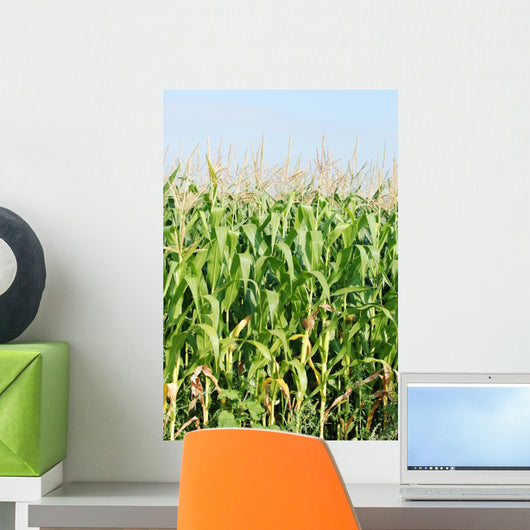 Maisfeld Wall Mural